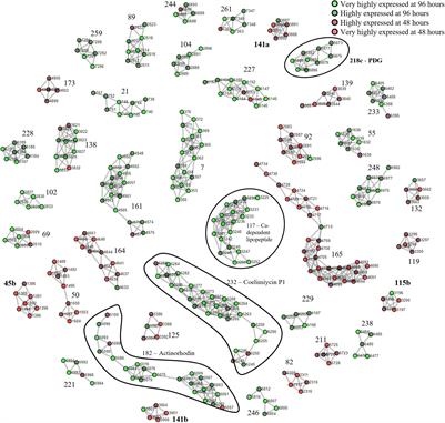 Proteomining-Based Elucidation of Natural Product Biosynthetic Pathways in Streptomyces